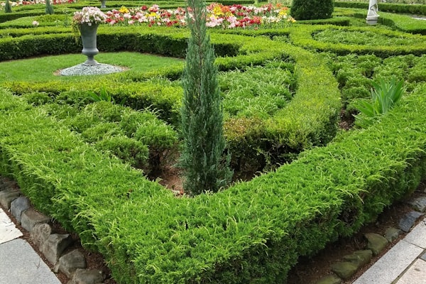 Jardin paysager avec design soigné